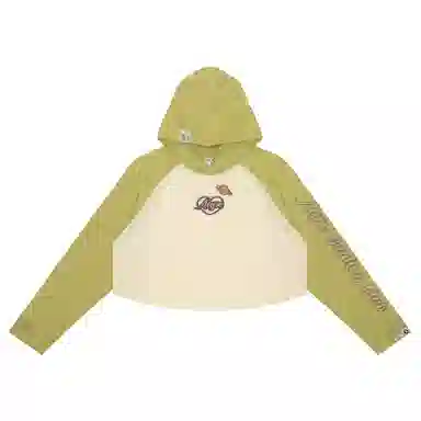 Aape T