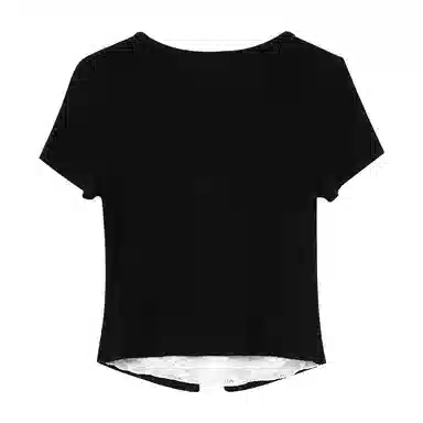 WESTLINK T