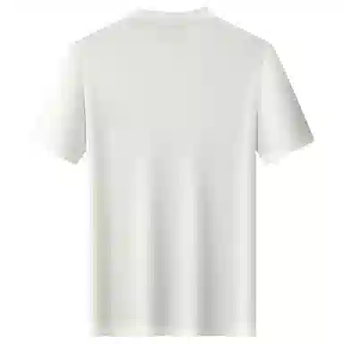 Automobili Lamborghini T