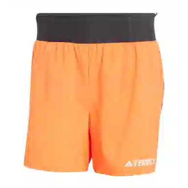 adidas Terrex XPERIOR Shorts