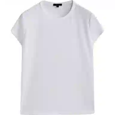 Massimo Dutti T