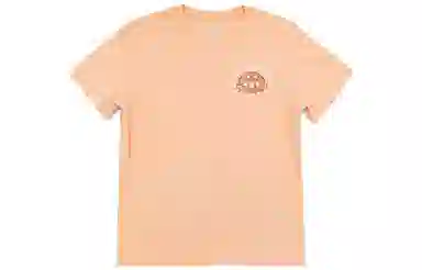 THE NORTH FACE SS22 T