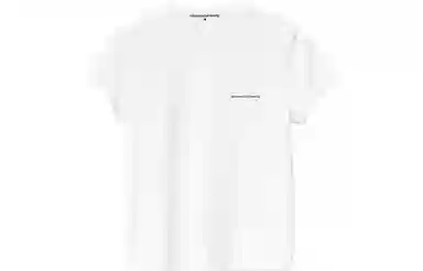 alexander wang FW22 T