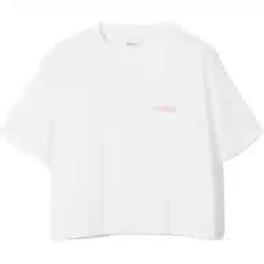 Burberry SS23 T
