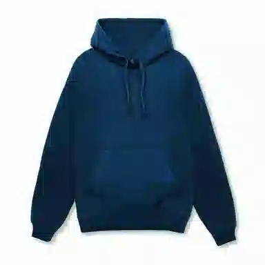 浪莎 连帽美式宽松纯色运动健身衣 男款