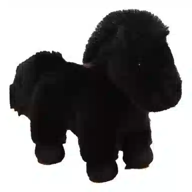 MORTEN SOLUM 23cm32cm