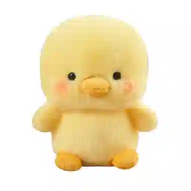 16cm