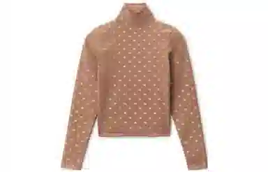 Alexander Wang FW22 Brown Turtleneck Top