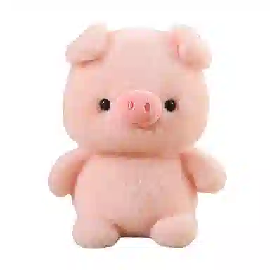 16cm