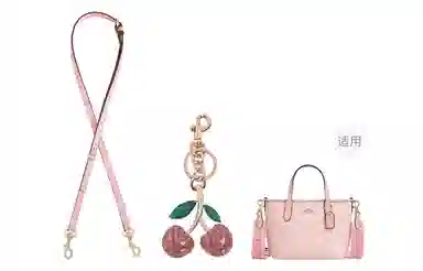 COACH city15 Tote mini