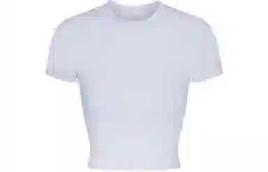 SKIMS NEW VINTAGE CROPPED RAGLAN T-SHIRT T PERIWINKLE