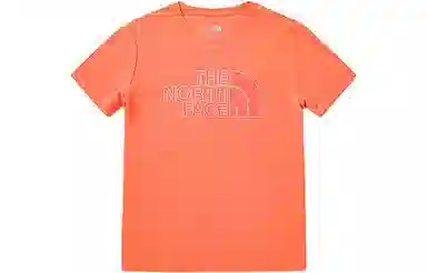 THE NORTH FACE LogoT