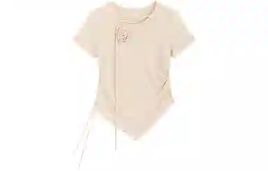 SNZX T