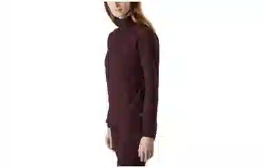 Arcteryx Rho Lt zip T