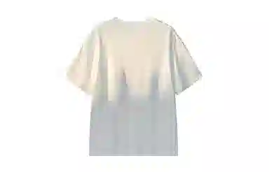 MANYSTON T