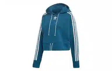 adidas originals Cropped Hoodie