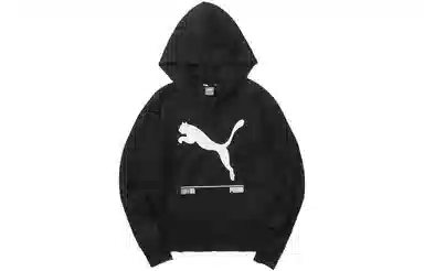 Puma Nu-tility Hoody