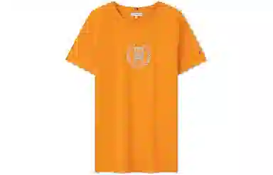 Tommy Hilfiger logo T