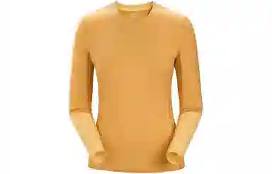 Arcteryx Rho Lt Logo T