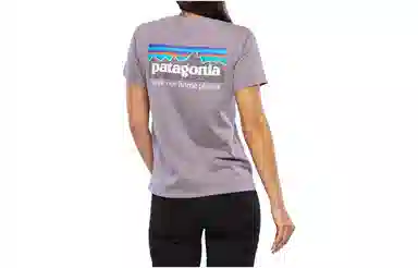 Patagonia P-6 Mission Organic Tee
