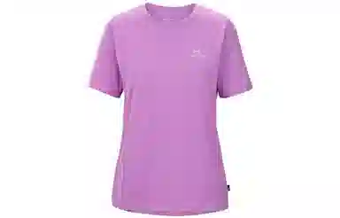 Arcteryx ARC ' LOGO EMBLEM Emblem T