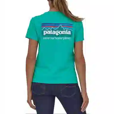 Patagonia P-6 Mission Organic Tee