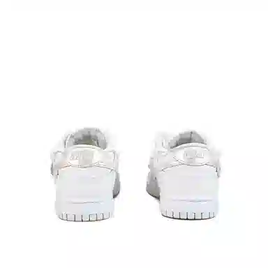Nike Dunk Low Retro White Silver
