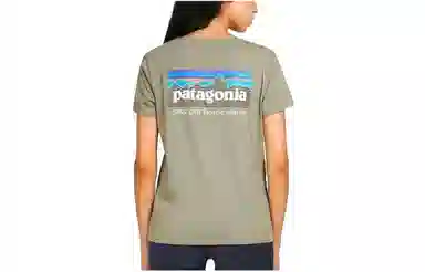 Patagonia P-6 Mission Organic Tee