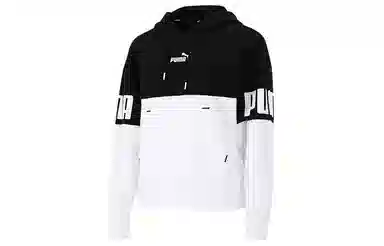Puma Power Colorblock Hoodie