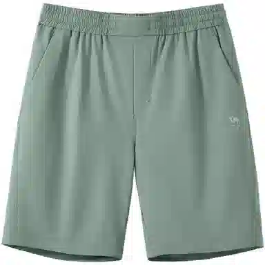 CAMEL Shorts