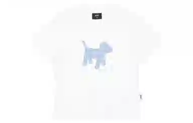 PCLP T
