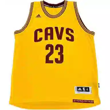 adidas x NBA JAMES 23