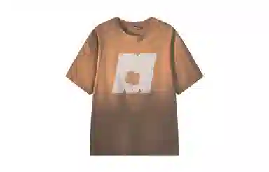 MANYSTON T