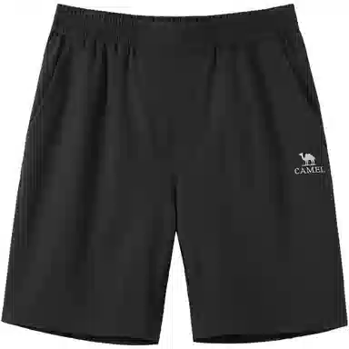 CAMEL Shorts