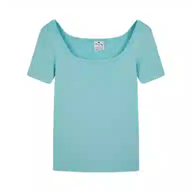 Champion SS25 Mineral Dye T