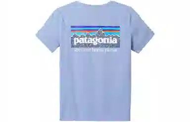 Patagonia P-6 Mission Organic Tee