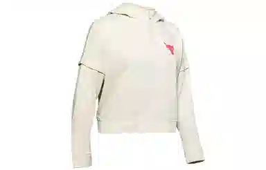Under Armour Project Rock Terry Hoodie
