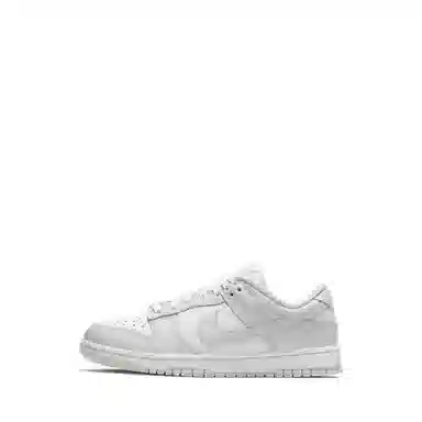 Nike Dunk Low Retro White Silver