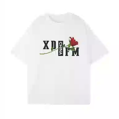 XDFM T