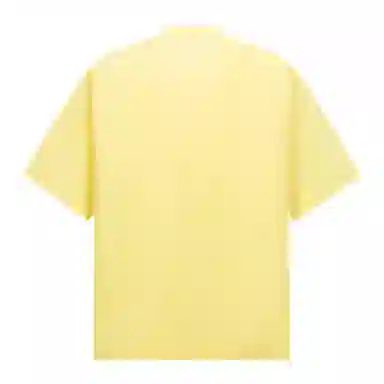 WAYHWEI T