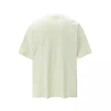 FDYZ T
