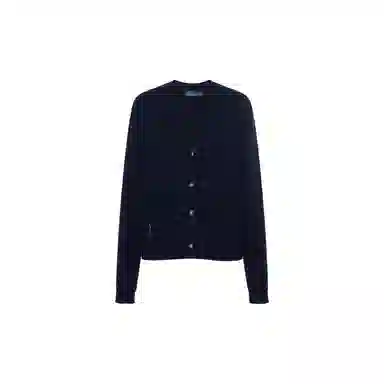 Polo Ralph Lauren FW23 V