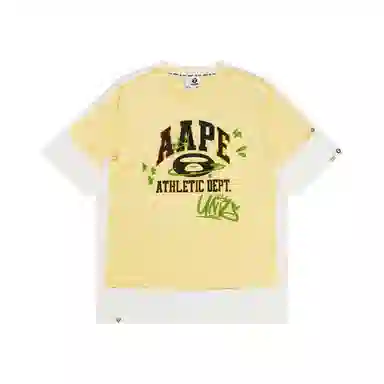 Aape T