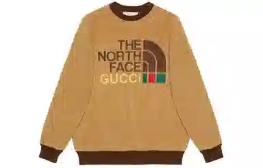 GUCCI x THE NORTH FACE Logo