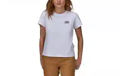 patagonia T