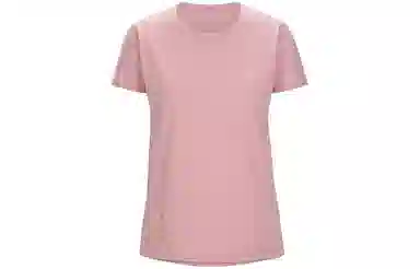 Arcteryx TAEMA ARC'WORD Logo T