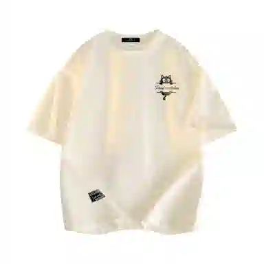 PAUL COSTELLOE LogoT