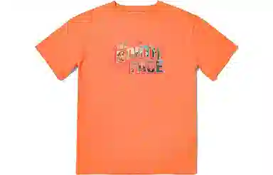 THE NORTH FACE SS23 T