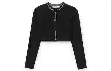 alexander wang SS21 Logo