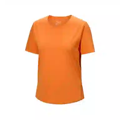 Arcteryx Norvan logoT